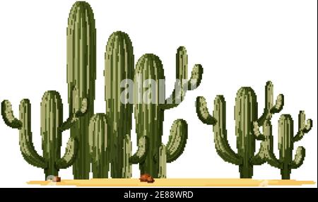 Différentes formes de cactus dans une illustration de groupe Illustration de Vecteur