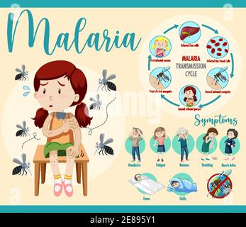 Illustration de l'infographie sur le cycle de transmission du paludisme et les symptômes Illustration de Vecteur