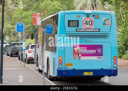 Un bus du gouvernement de Nouvelle-Galles du Sud s'est arrêté à un arrêt de bus sur Mrs Macquarie Road, près des jardins botaniques royaux de Sydney Banque D'Images