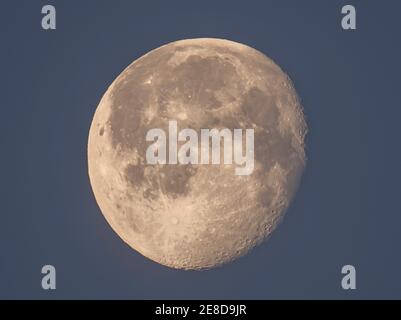 Wimbledon, Londres, Royaume-Uni. 31 janvier 2021. Déclinant la lune gibbeuse avant le lever du soleil dans un ciel clair et givré. Crédit : Malcolm Park/Alay Live News Banque D'Images