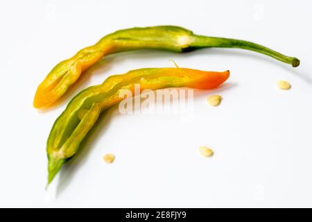 Piment de Cayenne isolé avec un fond blanc. Banque D'Images