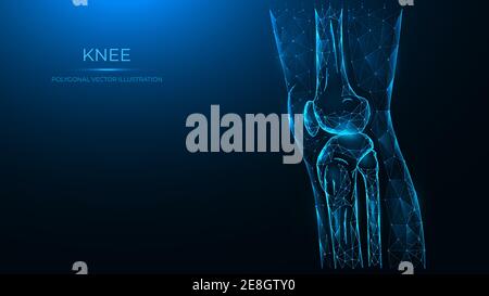 Illustration vectorielle polygonale de la vue latérale de la articulation du genou. La cuisse et le genou sont constitués de lignes et de points et sont isolés sur un fond bleu foncé. Illustration de Vecteur