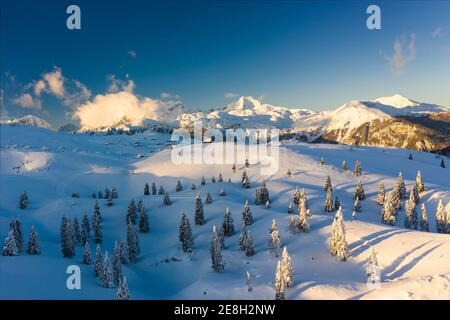 Velika planina avec des huttes de bergers couvertes de neige en hiver. Banque D'Images