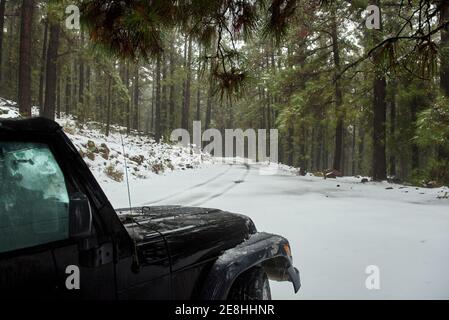 Voiture moderne noire de roader garée sur le bord de la neige à l'intérieur forêt de conifères surgelée le jour d'hiver clair Banque D'Images