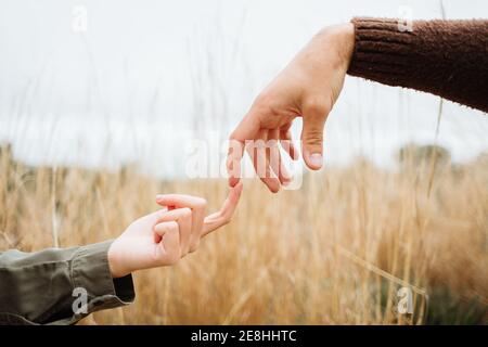 Crop anonyme petit ami touchant le doigt de la femme bien-aimée sur la prairie avec de l'herbe dorée sous le ciel blanc Banque D'Images