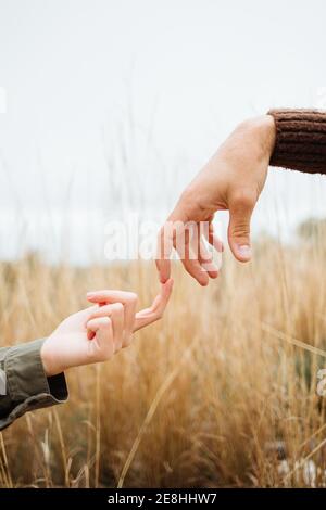 Crop anonyme petit ami touchant le doigt de la femme bien-aimée sur la prairie avec de l'herbe dorée sous le ciel blanc Banque D'Images