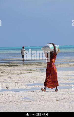 Femme portant le sac de l'algue récoltée Eucheuma spinosum sur la plage Jambiani, Zanzibar Banque D'Images