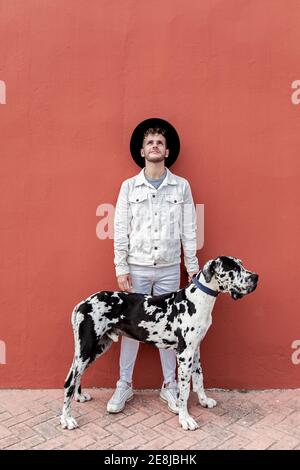 Propriétaire masculin debout avec le grand chien d'Arlequin Great Dane pendant promenez-vous en ville et regardez Banque D'Images