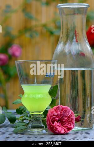 Verre d'Absinthe avec carafe à eau, fée verte Banque D'Images