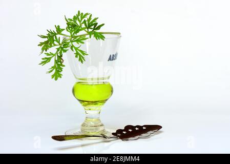 Verre d'absinthe avec bois de millepertuis et cuillère d'absinthe Banque D'Images