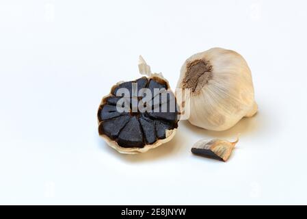 Ail noir, Allium sativum Banque D'Images