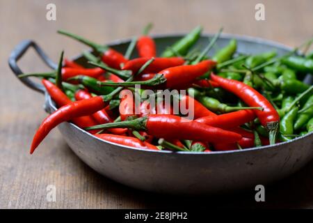 Poivrons ( Capsicum frutescens) , Chilis, Chilis, Chilis, piment, Chili, Cayenne, poivre de Cayenne, Piri-Piri, Tabasco, Peperoncini Banque D'Images