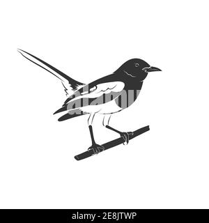 Vecteur de motif oiseau de magpie oriental sur fond blanc. Illustration vectorielle superposée facile à modifier. Animaux sauvages. Illustration de Vecteur