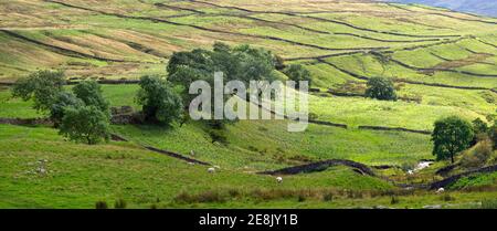 Vue panoramique sur les motifs du champ avec des murs en pierre sèche à Wharfedale, près de Buckden, dans le parc national de Yorkshire Dales. Banque D'Images