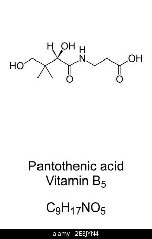 Acide pantothénique, vitamine B5, formule chimique et structure squelettique. Un élément nutritif essentiel pour synthétiser la coenzyme A. Banque D'Images