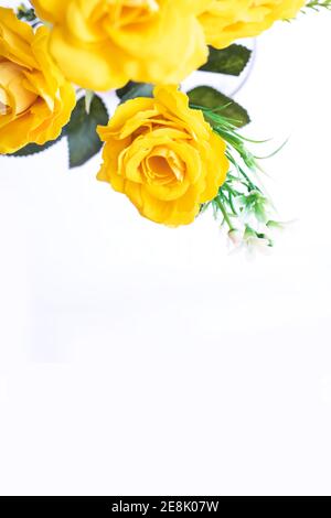 roses jaunes isolées sur fond blanc, foyer sélectif Banque D'Images