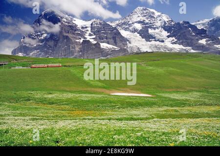 Pré alpine au-dessous de l'Eiger, Monch et Jungfrau, avec un train sur la Jungfraubahn en quittant Kleine Scheidegg. Banque D'Images