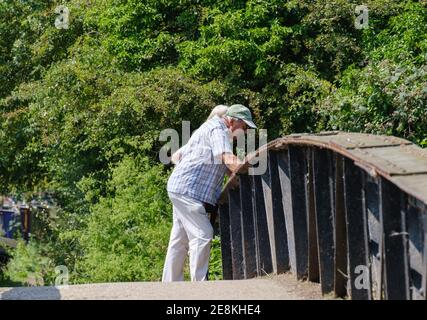 Un homme âgé se penche sur la rambarde sur le côté du canal de Grand Union à Rickmansworth, en regardant dans l’eau par une belle journée d’été. Banque D'Images