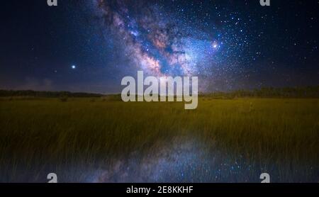 La voie lactée apparaît à l'horizon au parc national des Everglades. Banque D'Images