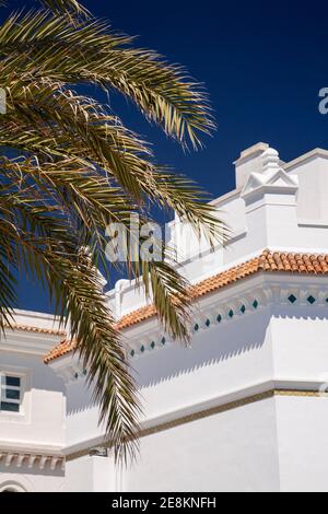 Bâtiment blanchi à la chaux et façades de palmiers, Cadix, Espagne Banque D'Images