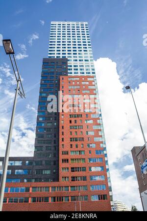ROTTERDAM, PAYS-BAS : Bâtiment et quartier de Holland America Line à Rotterdam, pays-Bas Banque D'Images