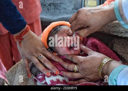 Jammu, Inde. 31 janvier 2021. Le 31 janvier 2021, à Jammu, en Inde, un enfant se fait vacciner contre la poliomyélite par des agents de santé qui travaillent dans une société d'habitation, observe aujourd'hui la Journée nationale de vaccination contre la polio (NID), où des gouttes sont administrées aux enfants de moins de 5 ans pour maintenir la maladie à distance. Le ministère de la Santé a déclaré que la vaccination antipoliomyélitique PULSE sera prise le 31 janvier, les 1er et 2 février. (Photo de Bikas Bhagat/INA photo Agency/Sipa USA) crédit: SIPA USA/Alay Live News Banque D'Images