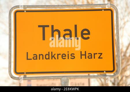 Thale, Allemagne. 31 janvier 2021. Signe de la ville de Thale. Malgré des possibilités de contact limitées pendant la pandémie de Corona, les citoyens de la ville de Thale ont été appelés aujourd'hui à élire un nouveau maire. Credit: Matthias Bein/dpa-Zentralbild/dpa/Alay Live News Banque D'Images