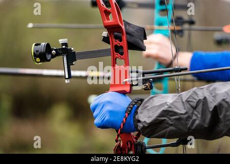 Gros plan de la main avec le gant bleu d'un archer visant avec son arc composé de chasse rouge, par une froide journée d'hiver. Végétation floue en arrière-plan Banque D'Images