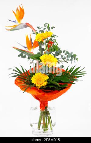 Un beau bouquet de fleurs avec Strelitzia reginae et Gerbera Dans un vase isolé sur fond blanc Banque D'Images