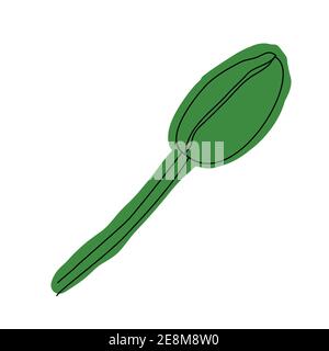 Fleur de pavot, bouton, croquis et imitation aquarelle Illustration de Vecteur