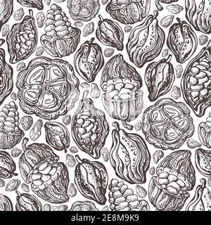 Motif sans couture de texture cacao. Vecteur fruit sauvage exotique tiré à la main. Chocolat naturel. Aliments sucrés biologiques. Croquis d'art vintage sur fond blanc Illustration de Vecteur