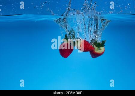 Photo de mouvement surgelée des fraises fraîches lavées dans l'eau. Banque D'Images