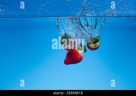 Photo de mouvement surgelée des fraises fraîches lavées dans l'eau. Banque D'Images