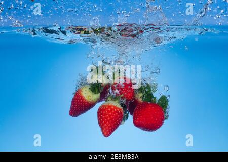 Photo de mouvement surgelée des fraises fraîches lavées dans l'eau. Banque D'Images