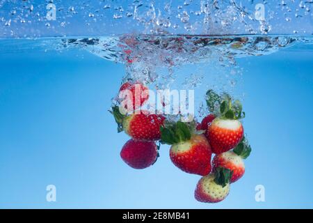 Photo de mouvement surgelée des fraises fraîches lavées dans l'eau. Banque D'Images