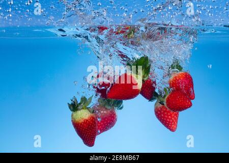 Photo de mouvement surgelée des fraises fraîches lavées dans l'eau. Banque D'Images