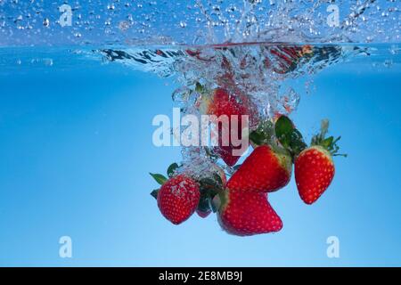 Photo de mouvement surgelée des fraises fraîches lavées dans l'eau. Banque D'Images