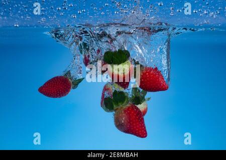 Photo de mouvement surgelée des fraises fraîches lavées dans l'eau. Banque D'Images