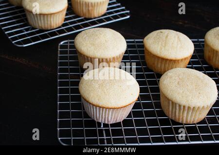 Cupcakes à la mule de Moscou sur des grilles de refroidissement : cupcakes à la vanille aromatisés à la vodka et à la bière au gingembre Banque D'Images