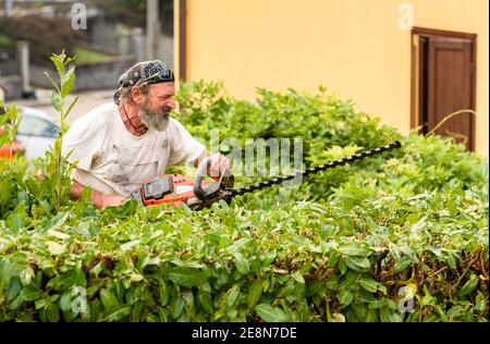 Taille-haie de jardinier professionnel avec taille-haie électrique, entretien de jardin d'automne. Banque D'Images