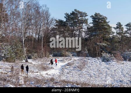 Hiver à Neugraben Heath, Harburg, Hambourg, Allemagne Banque D'Images