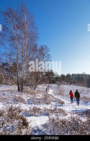 Hiver à Neugraben Heath, Harburg, Hambourg, Allemagne Banque D'Images