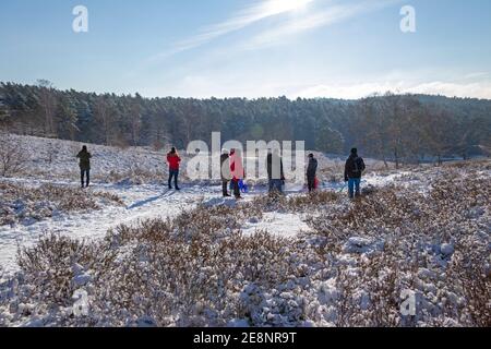 Personnes en hiver à Neugraben Heath, Harburg, Hambourg, Allemagne Banque D'Images