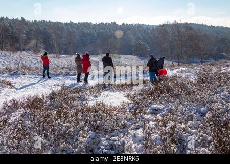 Personnes en hiver à Neugraben Heath, Harburg, Hambourg, Allemagne Banque D'Images