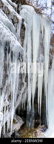 immenses glaces naturelles dans la forêt d'hiver Banque D'Images