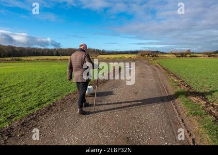 Homme marchant avec ses chiens sur un long sentier public droit dans le Yorkshire. Banque D'Images