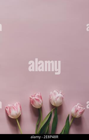 Photo de stock au style naturel. Pâques féminine, composition printanière avec tulipes sur table rose, fond mural. Cadre fleuri, bordure. Flat lay, vue de dessus Banque D'Images