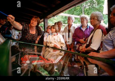 Allemagne/Berchtesgarden/Obersalzberg/visite touristique aigles Nest and look Banque D'Images