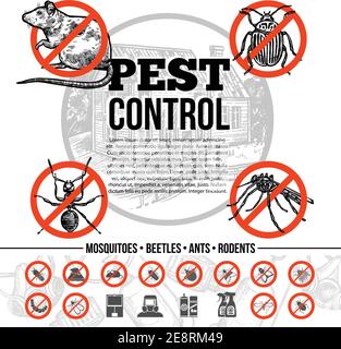 Infographiques de lutte antiparasitaire avec des icônes d'insectes rat et moyens de protection dans l'illustration vectorielle isolée de style esquisse Illustration de Vecteur