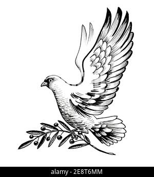 Oiseau de colombe volant avec branche d'olive comme symbole de paix. Dessin noir et blanc Banque D'Images